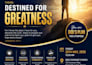 design a professional flyer